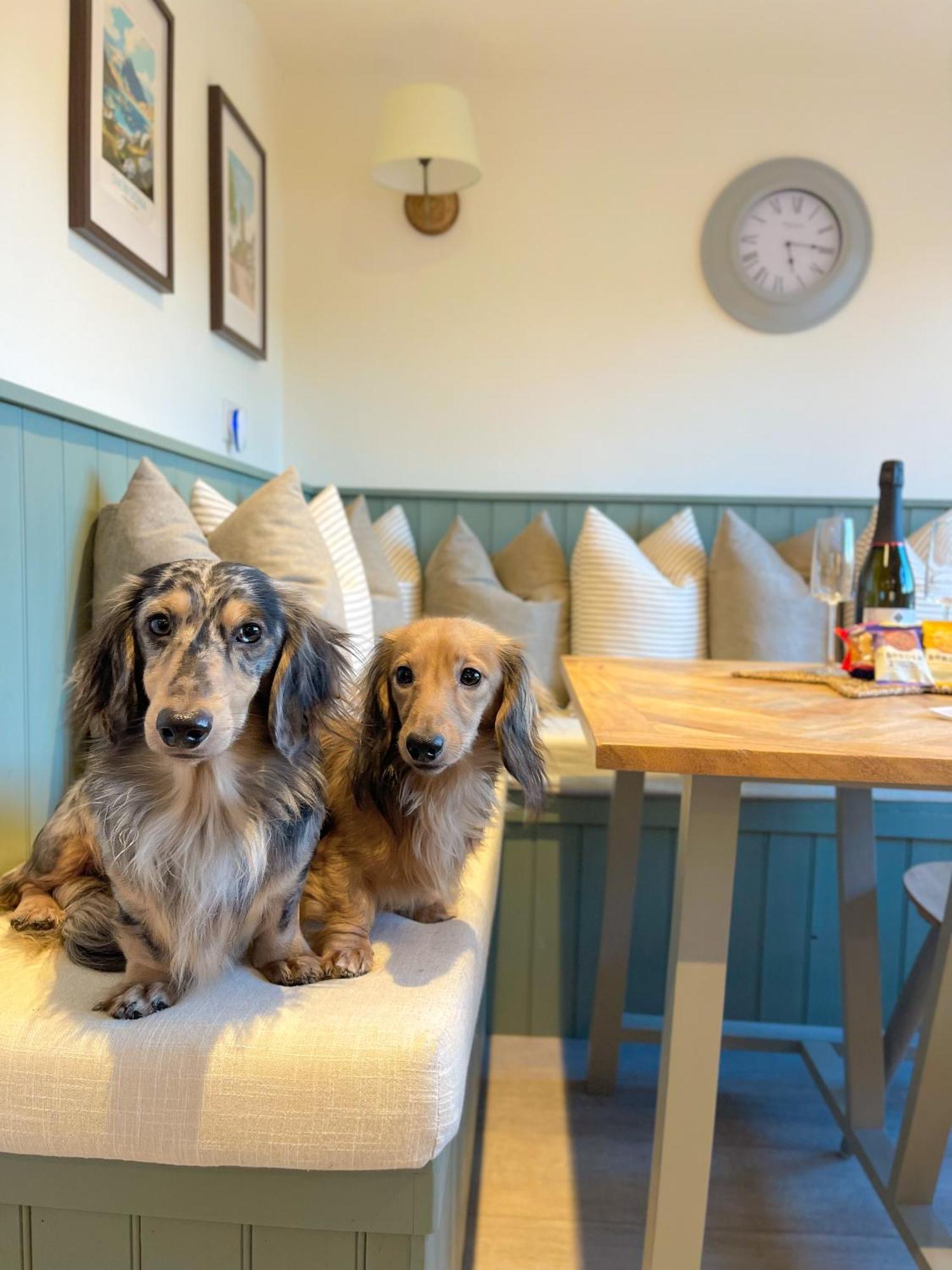 Oak Tree Hideaway Villa Whitchurch  Kültér fotó